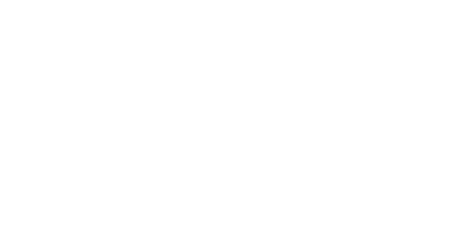 Logo white