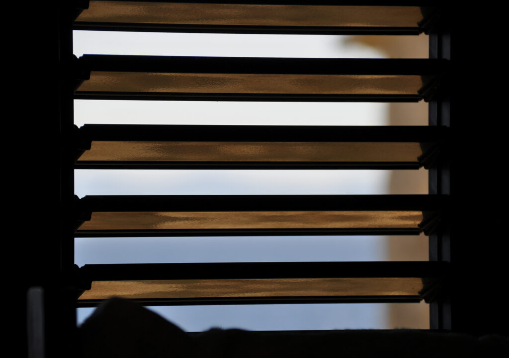 _DSC0018